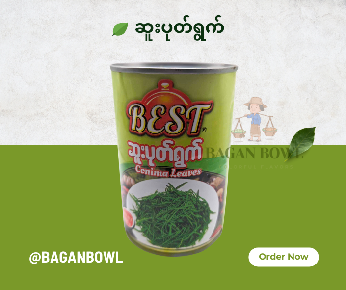 Best  Conima Leaves ဆူးပုတ်ရွက်