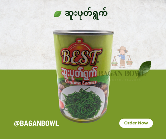 Best  Conima Leaves ဆူးပုတ်ရွက်